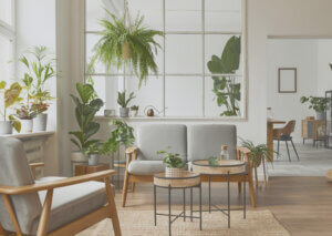 Plante Artificiale